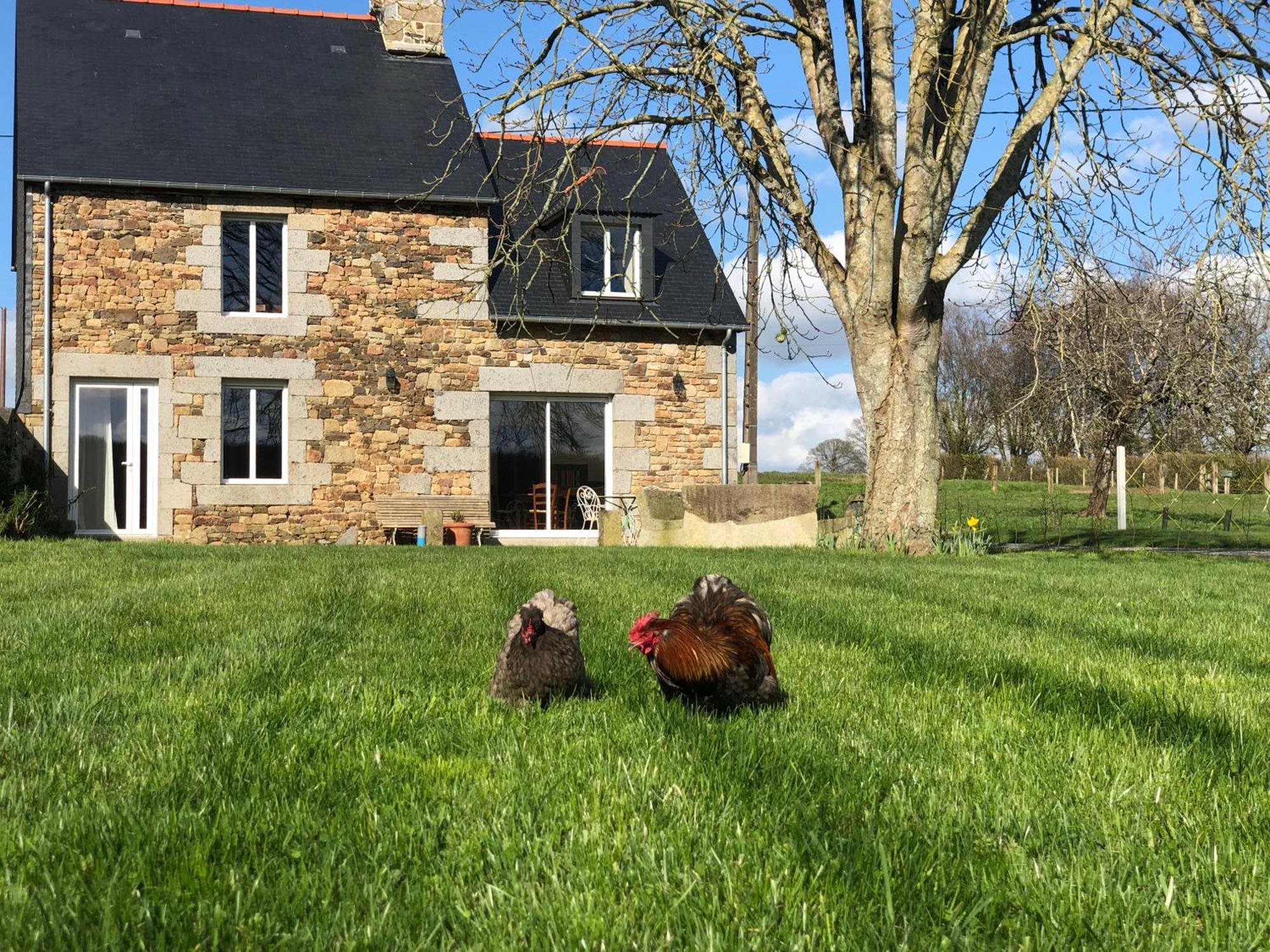 Maison Chic Proche Du Mont Saint Michel Marcilly  Eksteriør bilde